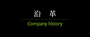 v@Company History